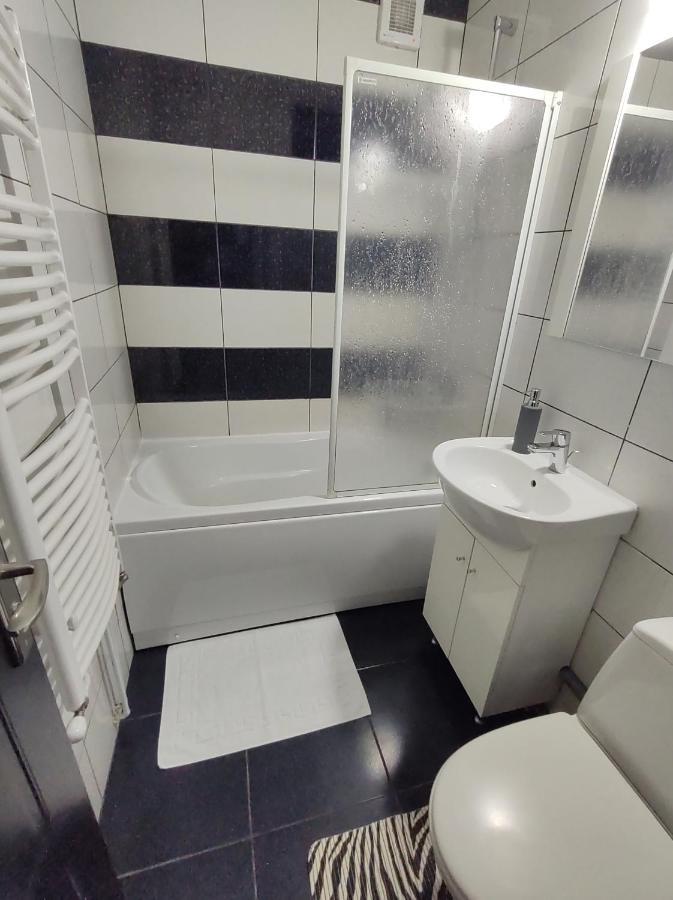 Creative Apartment Baia Mare Eksteriør billede